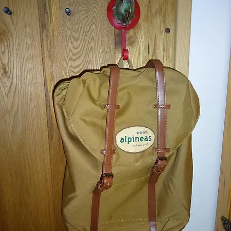 Ferienwohnung Alpineas Leutasch Exterior foto